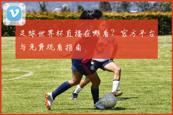 足球世界杯直播在哪看？官方平台与免费观看指南