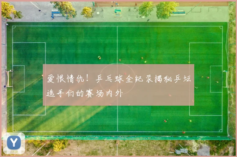 爱恨情仇!乒乓球全纪录揭秘乒坛选手们的赛场内外